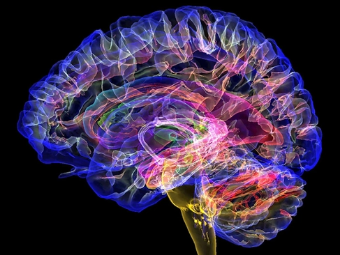 色欲ab操逼视频大脑植入物有助于严重头部损伤恢复